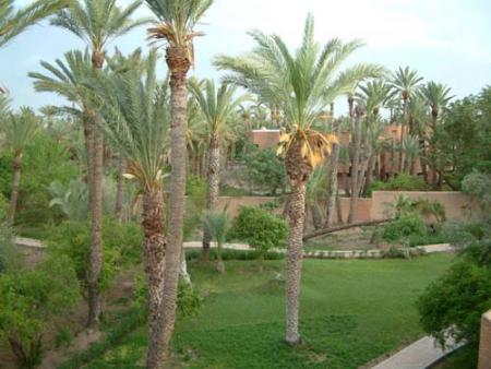 maroc